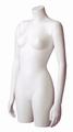 Female Torso Body Forms