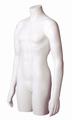 Male Torso Body Forms