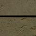 slatwall