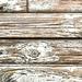 White Old Painted Wood Textured Slatwall