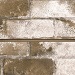 Taupe Old Painted Brick Slatwall