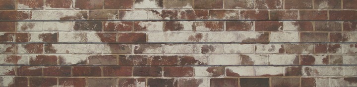Red Old Painted Brick Slatwall Panel