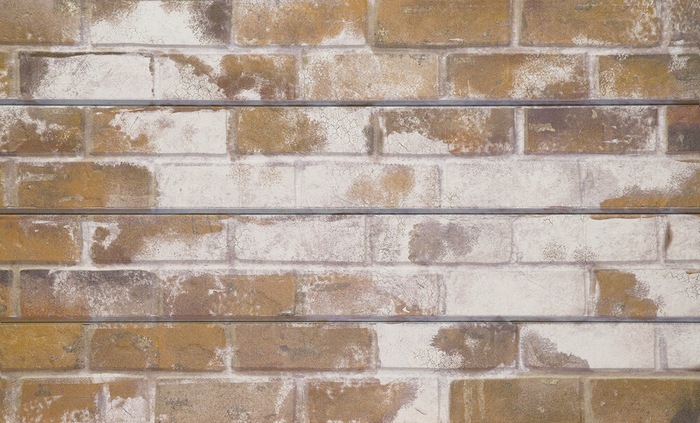 Sandstone Old Painted Brick Textured Slatwall