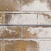 Sandstone Old Painted Brick Slatwall