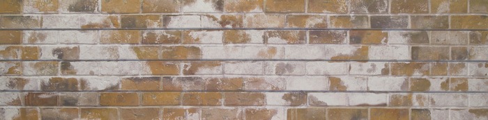 Sandstone Old Painted Brick Slatwall Panel